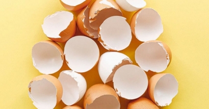 Cangkang Telur, Tambahan Nutrisi untuk Tanaman