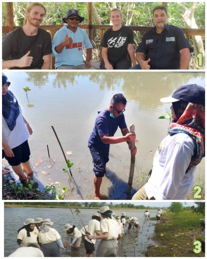 Pusat Restorasi dan Pengembangan Ekosistem Pesisir Kabupaten Sukabumi, Upaya Melestarikan Ekosistem Mangrove