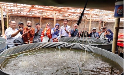 Budidaya Ikan Nila pada Kolam Bundar dengan Sistem Bioflok