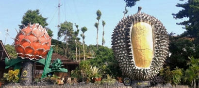 Agrowisata Kebun Durian Warso Farm Bogor