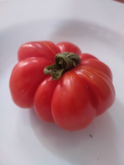 Tomat dan Semangka di Balik Daun