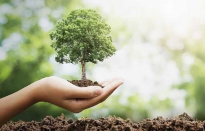 Menanam Pohon: Aksi Nyata untuk Mendukung Tercapainya Net Zero Emissions 2060