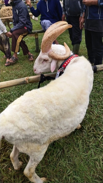 Festival Domba Sakub sebagai Atraksi Deswitsari, Pandansari