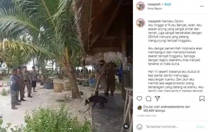 Canon Mati Usai Ditangkap Satpol PP di Pulau Banyak Aceh Singkil