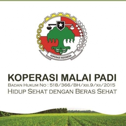 Fungsi Koperasi Meningkatkan Kesejahteraan Petani Padi dan Masyarakat Kabupaten 50 Kota