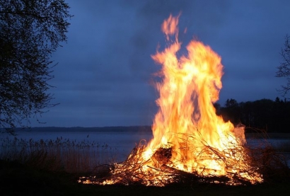 Api Menyulut di Amarilis