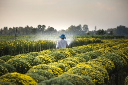 Ahmad Syaifullah: Pentingnya Meningkatkan Nilai Tambah (Value Added) bagi Produk Pertanian Indonesia