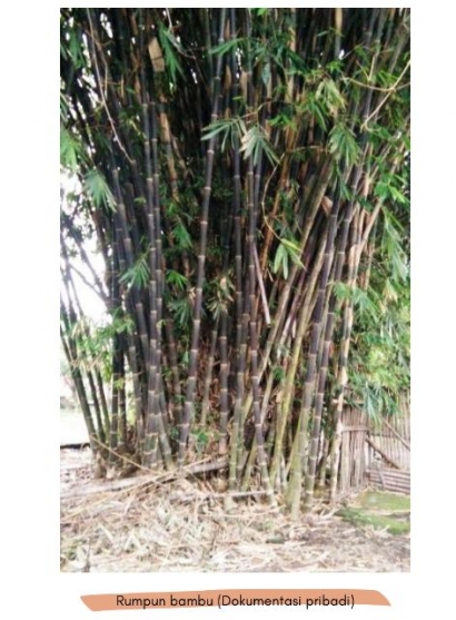 Melirik Pembangkit Listrik Tenaga Bambu