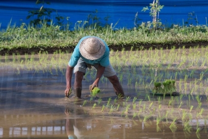Keuntungan dari Bertani Tak Cukup Menarik bagi Kaum Milenial?