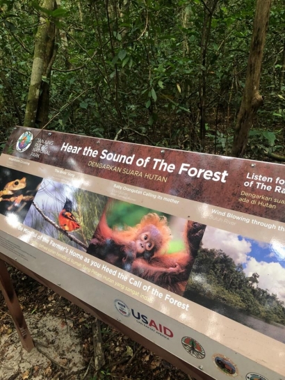 Taman Nasional Tanjung Puting Ditutup, para Pekerja Wisata Banting Setir Saat Pandemi