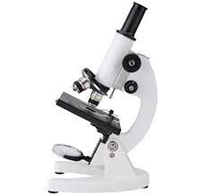 Keterkaitan Mikroskop dalam Bidang Fisika dan Biologi