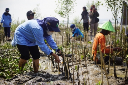 Bersama Hijaukan Indonesia, Kelompok 60 Adakan Penanaman Mangrove bersama Lindungi Hutan