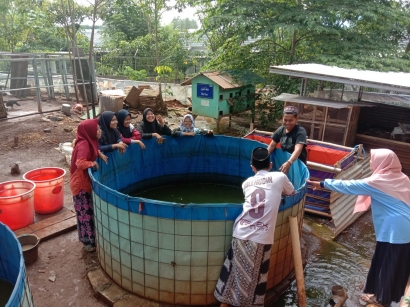 Mahasiswa KKN RDR 77 Kelompok 35, 56, 58 Melakukan Budidaya Ikan Lele di Pesantren Fadhlul Fadhlan