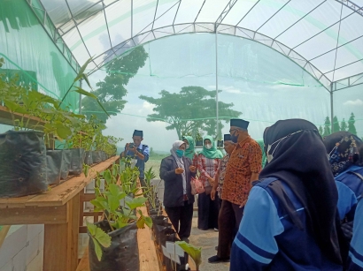 KKN UIN Walisongo Kembangkan Tanaman Herbal dengan Membangun Greenhouse di Desa Cranggang Kudus