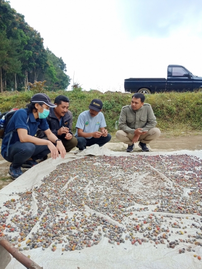 Mikroba Lokal untuk Peningkatan Proses Pascapanen Petani Kopi di Jawa Barat
