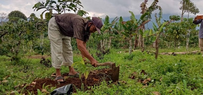 Hari Menanam Pohon Indonesia (Sebuah Harapan)