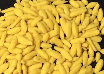 [Kreanova] Nasi Kuning instan Umbi Gembili? Alternatif Menu Diet yang Enak
