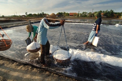 6 Contoh Daerah Penghasil Garam Adalah Provinsi Jawa, Jepara, Bali, Madura, dan NTT, di Indonesia