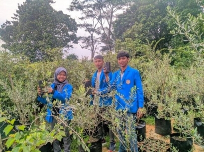 Aplikasi Inventory Barang Masuk dan Keluar di Perkebunan Tunas Vigor Nusantara