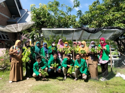 Mahasiswa KKN UNIMAL Sukseskan Program Hidroponik di Desa Paloh Awe