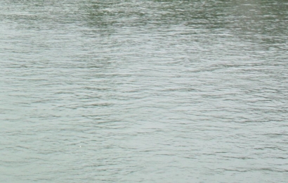 Fotografi Sungai Rhain dan Proyek Seni Made Wianta