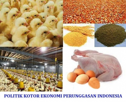 Politik Kotor Ekonomi Perunggasan Indonesia