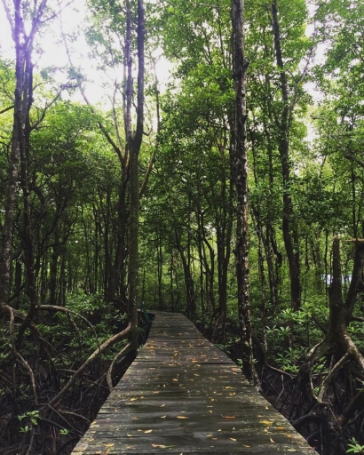Hutan Mangrove Bekasi, Potensi Ecomuseum yang Kurang Dilirik