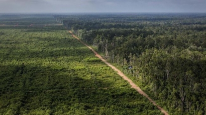 Warning! "Deforestasi Berlebihan Mengancam Konservasi"