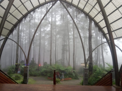 Orchid Forest Cikole: Objek Wisata Alam yang Instagramable dan Kekinian di Bandung