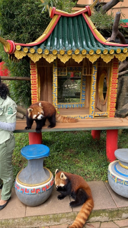 Taman Safari, Bogor: Berinteraksi dengan Satwa Liar di Taman Safari