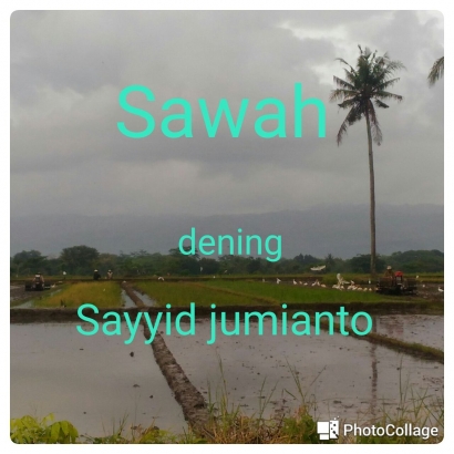Sawah (5) Kangen Kahanan Wektu Semana