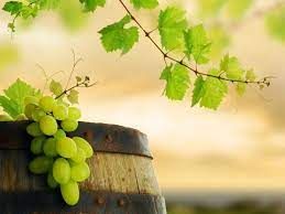 Yesus Mengubah Air Menjadi Anggur, Ini Maknanya! (Yoh 2 :1-11)