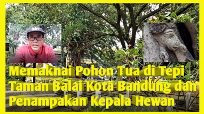 Memaknai Pohon Tua di Tepi Taman Balai Kota Bandung dan Penampakan Kepala Hewan