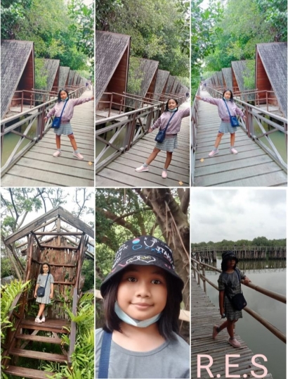 Wisata Edukasi: Yuk ke Taman Wisata Alam Mangrove PIK!