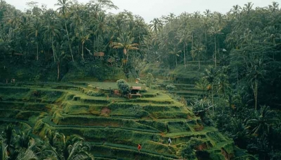 Pesona Sawah Terasering Tegalalang Ubud Bali