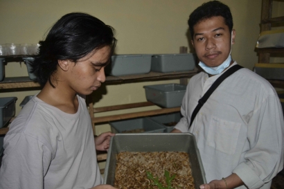 Kunjungan KKM-DR Pradipa Sakanti UIN Malang ke Desa Putukrejo Melihat Budidaya Ulat Jerman