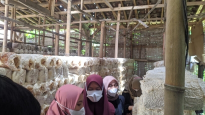 KKM-DR UIN Malang 2021 dan UMKM Budidaya Jamur Tiram di Desa Bocek
