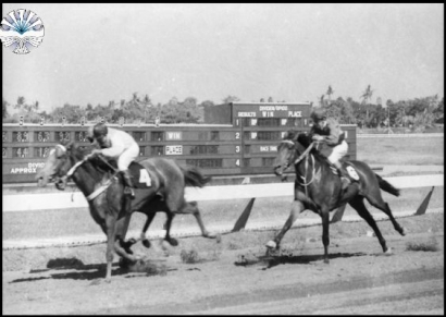 Nostalgia Pulo Mas 1970-an, Nonton Pacuan Kuda Sambil Taruhan