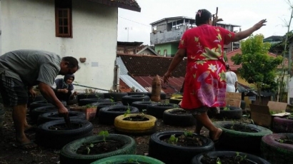 Penanaman Bibit Krokot Merah dan Cabai di Kampung Gondolayu Lor Yogyakarta