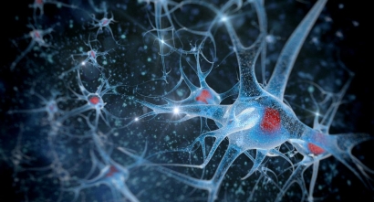 Dampak Penyakit ALS pada Struktur Koordinasi Tubuh Manusia