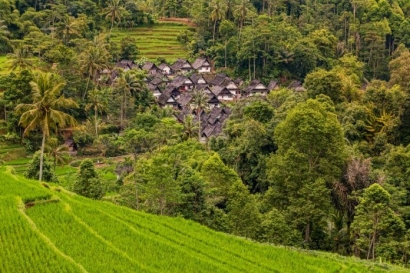 Desa Wisata dalam Bingkai Desa Membangun