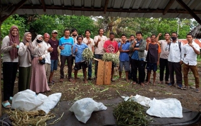 Atasi Krisis Pakan Ternak di Desa Rempek, Lombok Utara, Mahasiswa KKN UNRAM Adakan Pelatihan Pengawetan Pakan Ternak Minim Biaya
