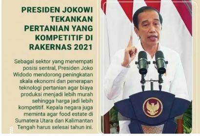 Menanti Janji Jokowi 1 Juta Hektare Tanaman Kedelai