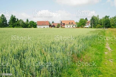 Mengenal Cara Bertani di Jerman