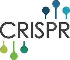 CRISPR: Potensi untuk Uji Deteksi Covid-19 yang Lebih Valid