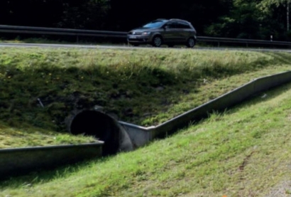 Krötentunnel: Terowongan Katak di Jerman, Mencegah Kepunahan Spesies Amfibi