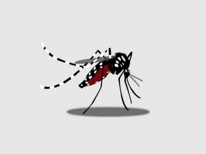 Waspada Dengue Fever