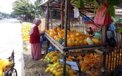 Gairah Bisnis Timun Suri di Bulan Ramadhan, Raup Cuan yang Banyak