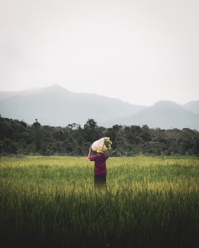 Petani Perempuan dalam Memaknai Hari Kartini: Kesenjangan Upah Antar Gender