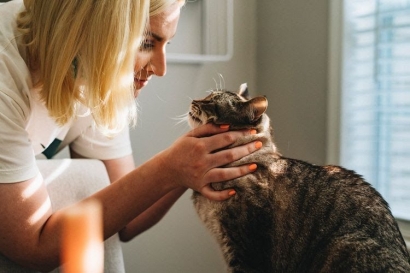 Feline Lower Urinary Tract Disease, Penyakit Mematikan pada Kucing